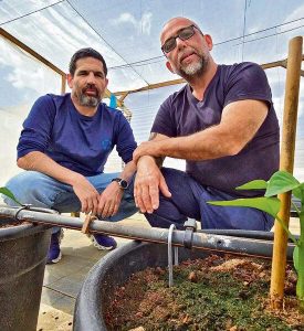 newsletter pic 2 new